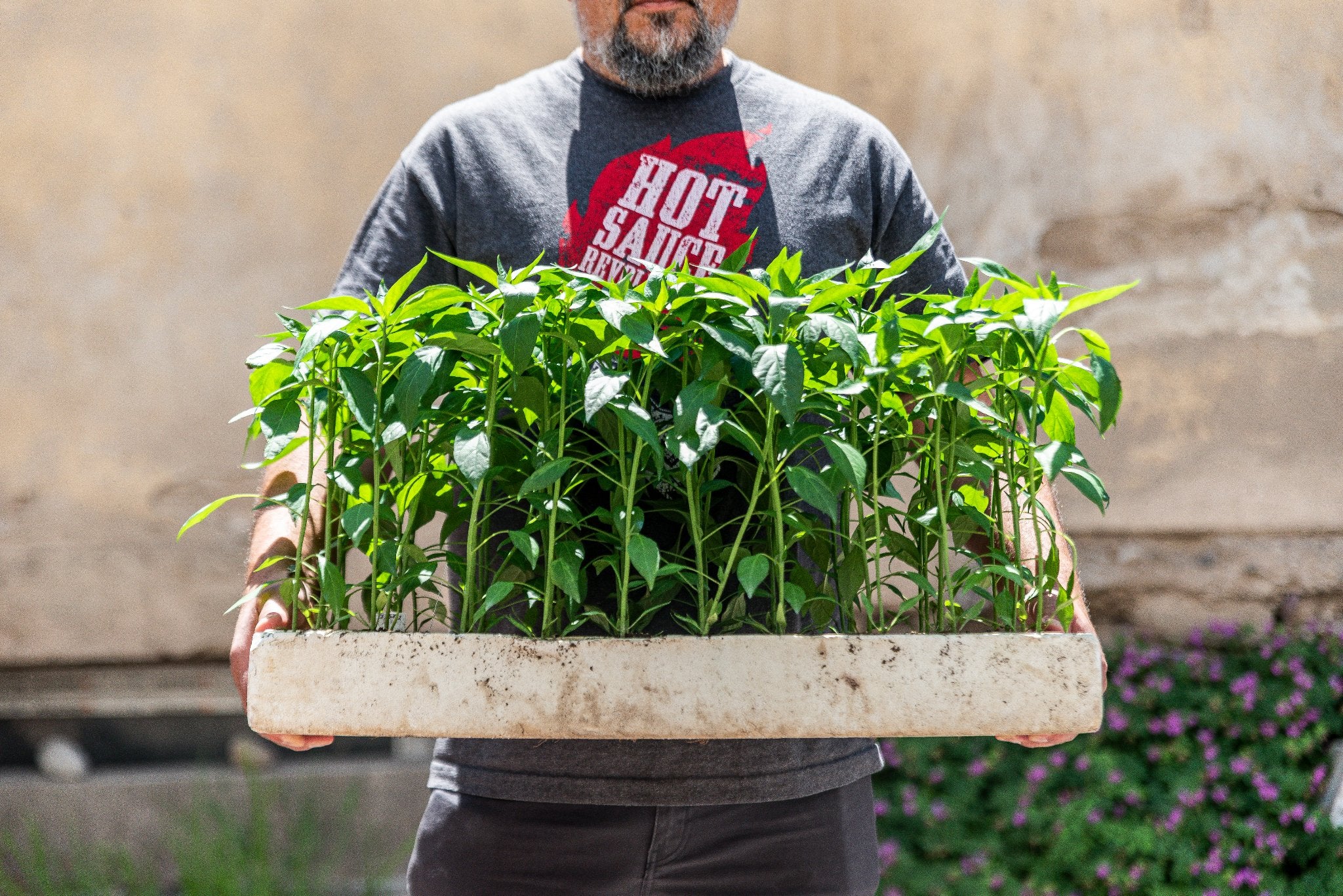 Мащабиране