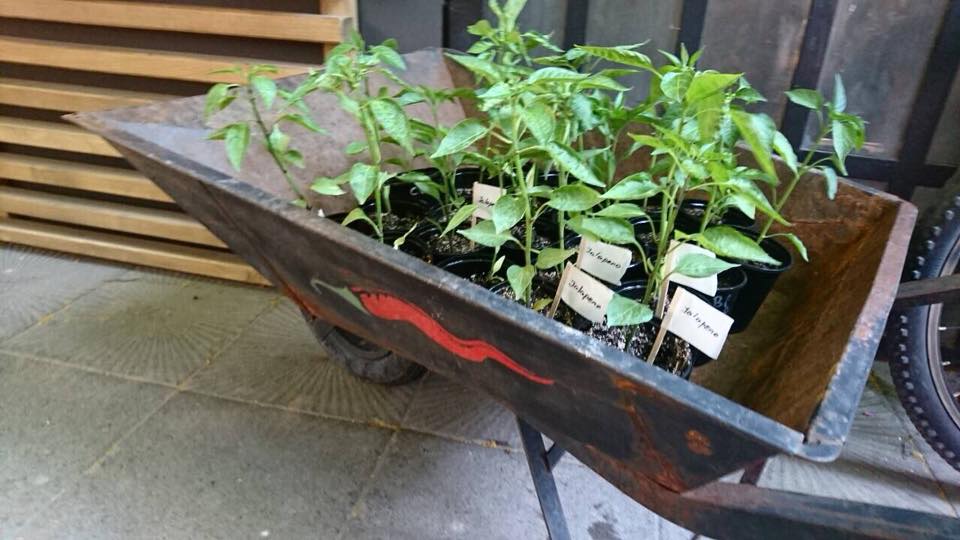 Мащабиране