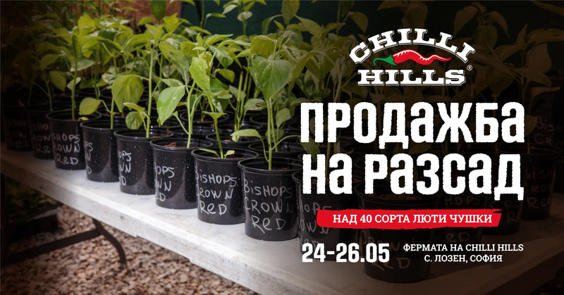 11:00, 24.05.2024 –20:00, 25.05.2024