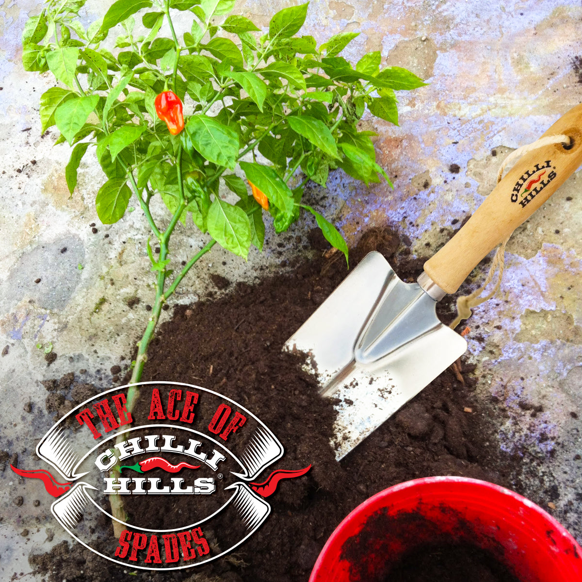 Мащабиране