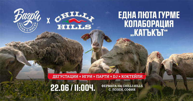 11:00, 22.06.2024 –21:00, 22.06.2024