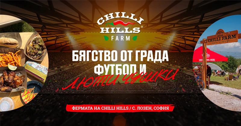 11:00, 15.06.2024 –21:00, 16.06.2024