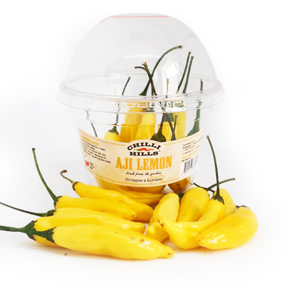 Мащабиране