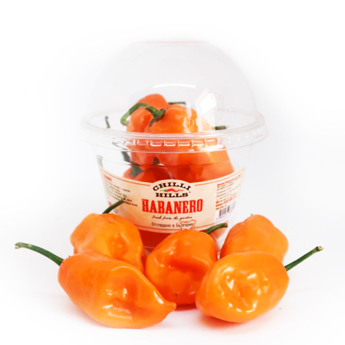 Мащабиране