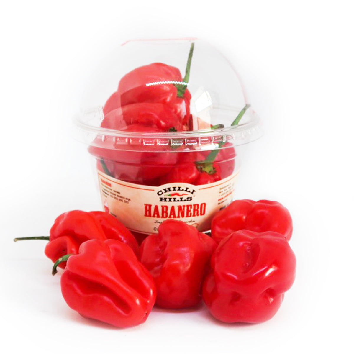 Мащабиране