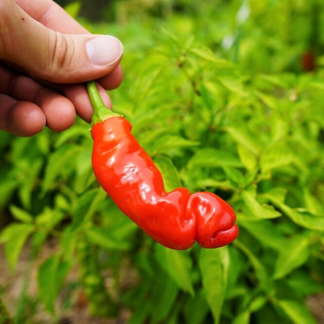 Мащабиране