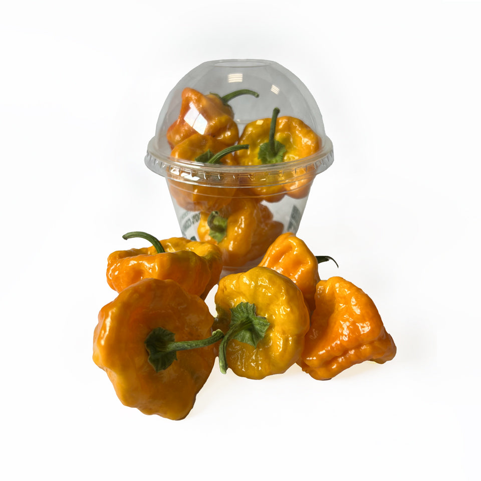 Мащабиране