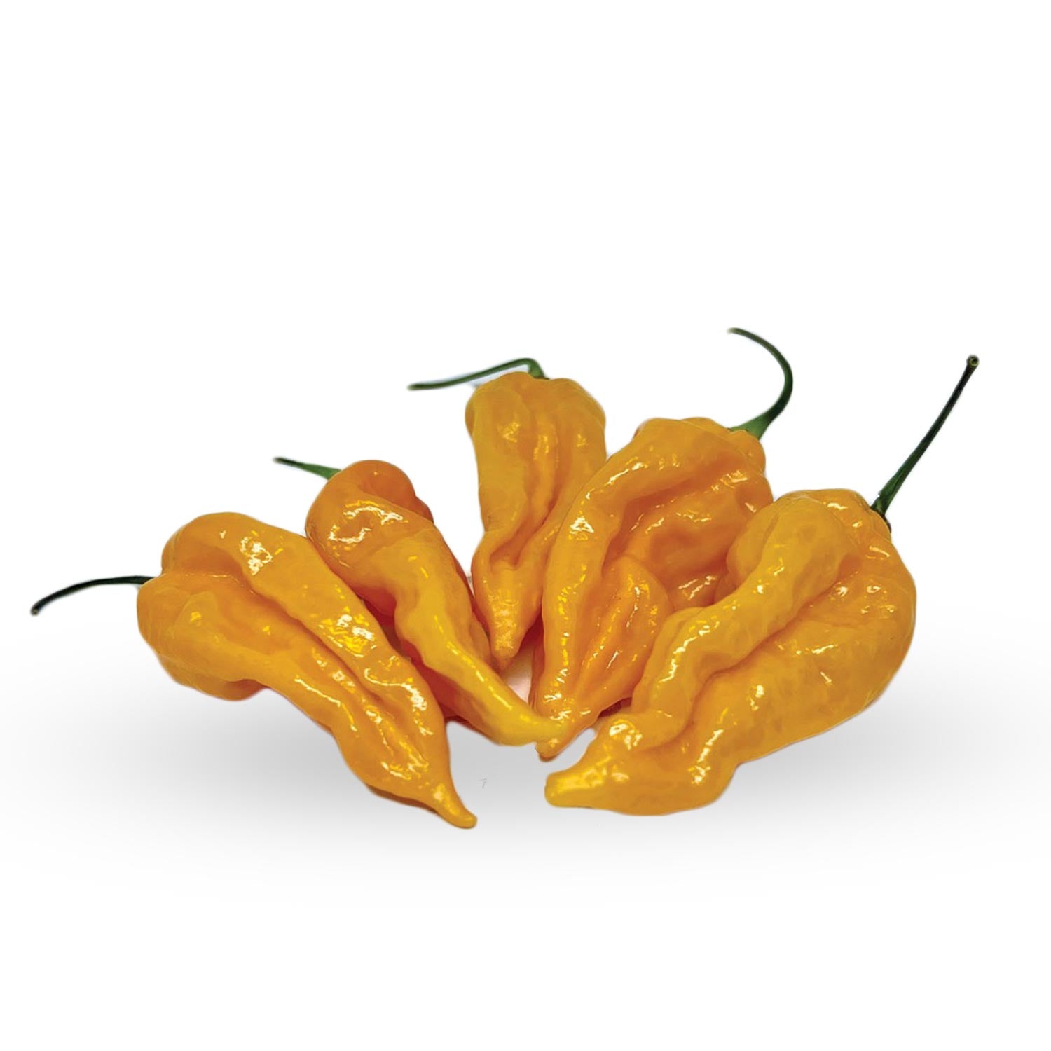 Мащабиране