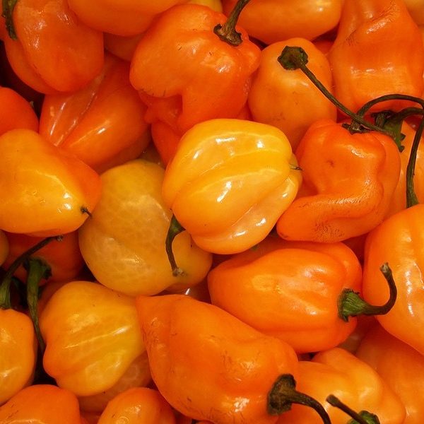 Мащабиране