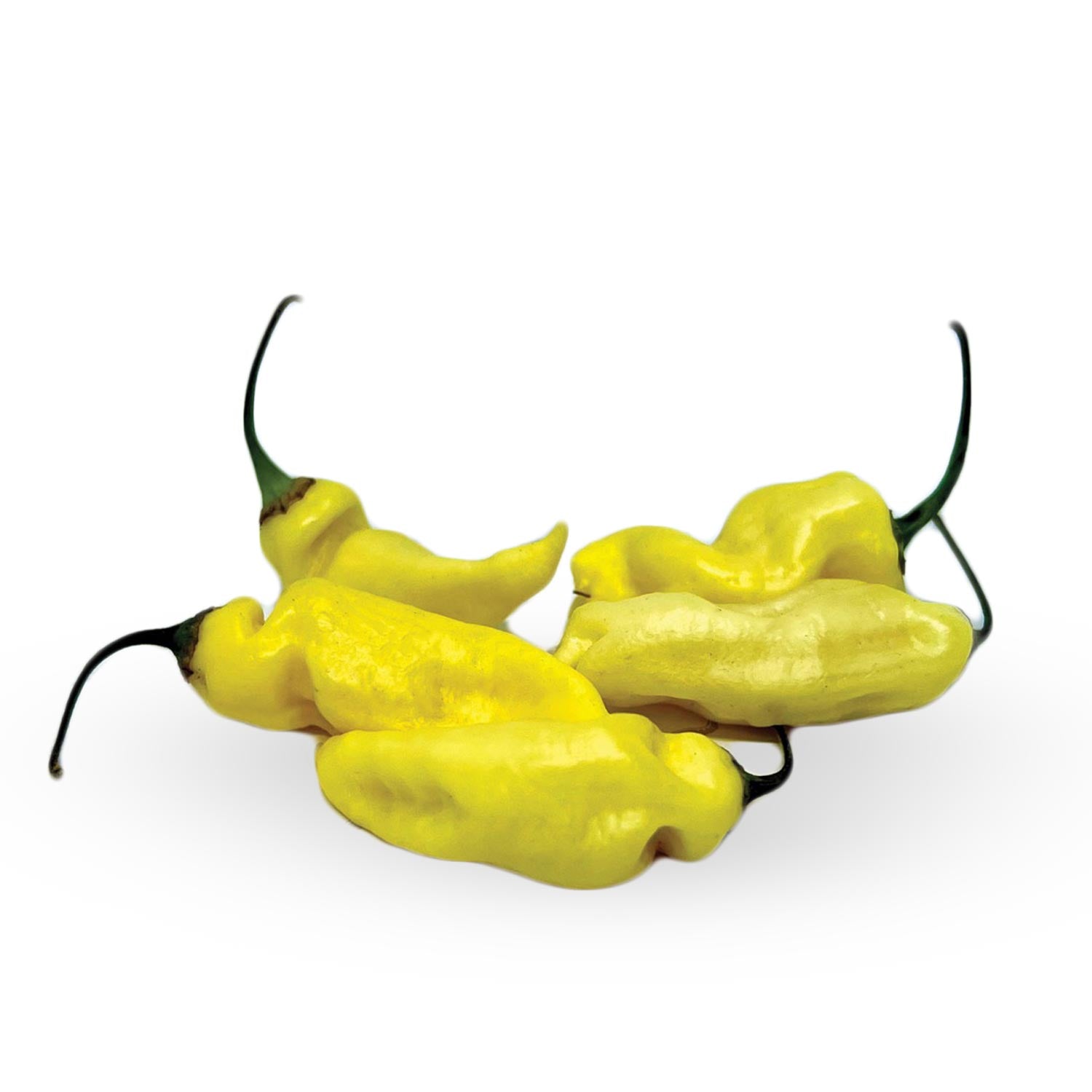 Мащабиране