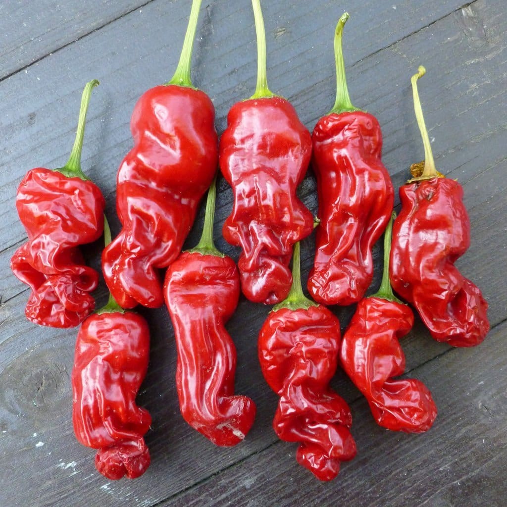 Мащабиране