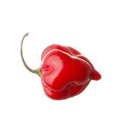 Червено Хабанеро