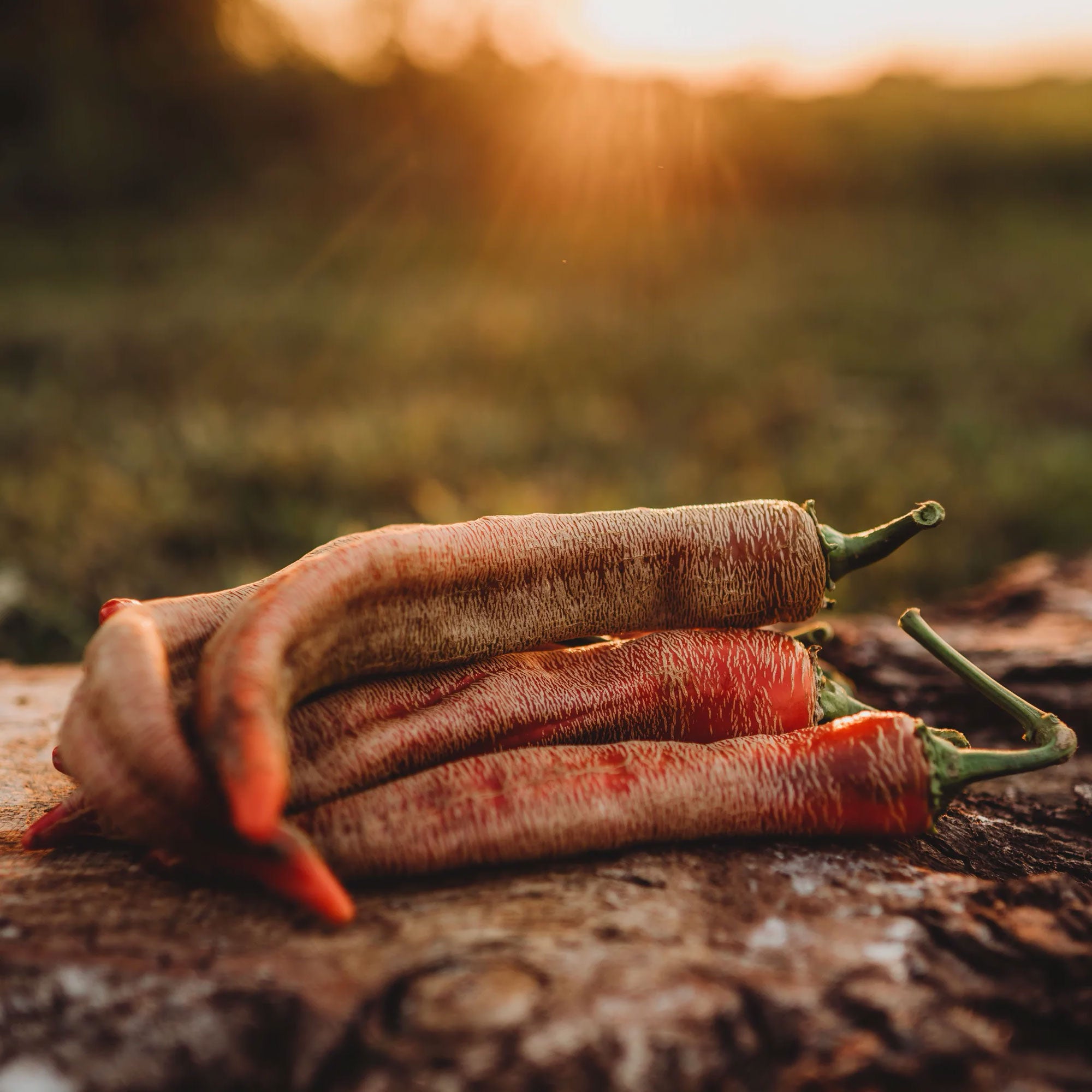 Мащабиране