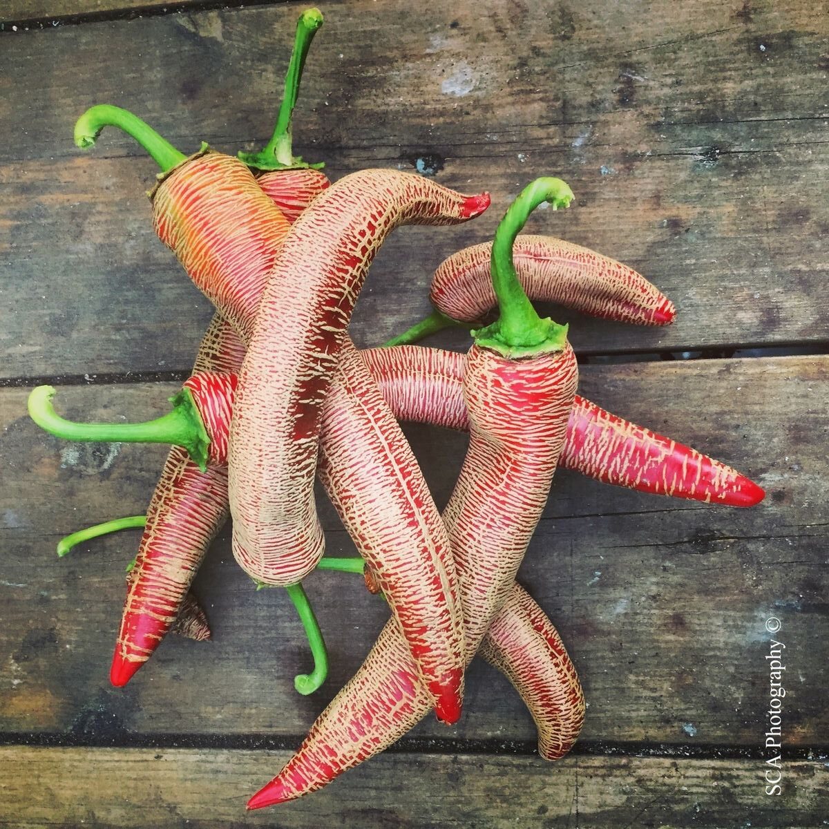 Мащабиране