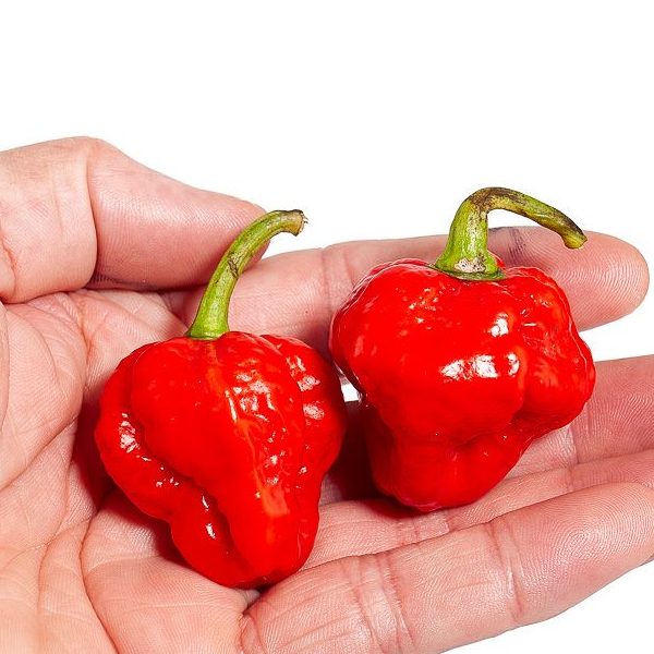 Мащабиране