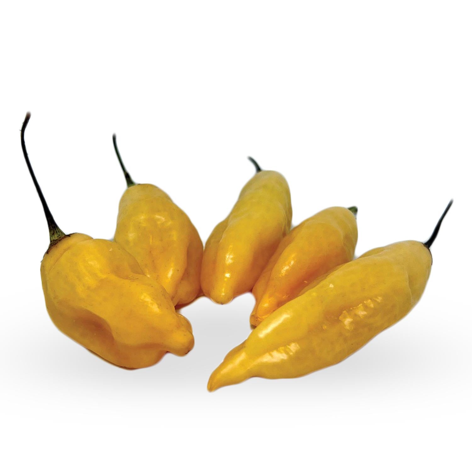 Мащабиране